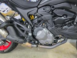 2022 DUCATI MONSTER Grey