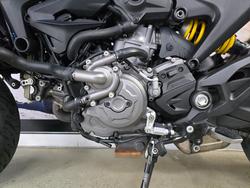 2022 DUCATI MONSTER Grey