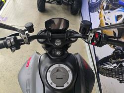 2022 DUCATI MONSTER Grey