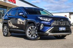2020 Toyota RAV4 Cruiser