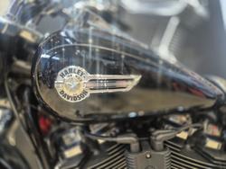 2023 Harley-Davidson Fat Boy 114 (FLFBS) Softail Black