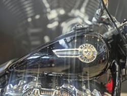 2023 Harley-Davidson Fat Boy 114 (FLFBS) Softail Black