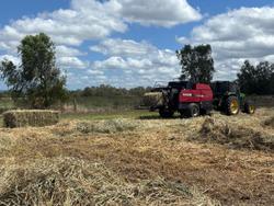 CASE IH Lbx 432 Rectangular Baler