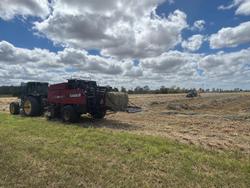 CASE IH Lbx 432 Rectangular Baler