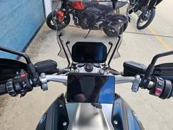 2019 BMW Motorrad R 1250 R Green