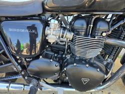 2014 Triumph BONNEVILLE Green