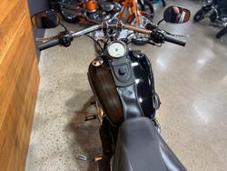 2007 HARLEY-DAVIDSON FXDF FAT BOB