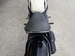 2025 CFMOTO 450 CL-C WHITE/GREEN