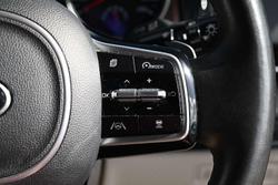 2021 Kia Carnival Platinum