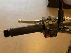 2026 Triumph Trident 660 Trident White