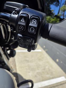 2022 Harley-Davidson Street Glide ST 117 (FLHXST)