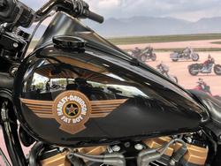 2020 HARLEY-DAVIDSON FLFBSANV FAT BOY 114 30TH ANNI