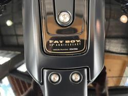 2020 HARLEY-DAVIDSON FLFBSANV FAT BOY 114 30TH ANNI