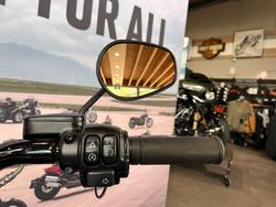 2020 HARLEY-DAVIDSON FLFBSANV FAT BOY 114 30TH ANNI