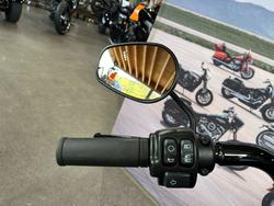 2020 HARLEY-DAVIDSON FLFBSANV FAT BOY 114 30TH ANNI