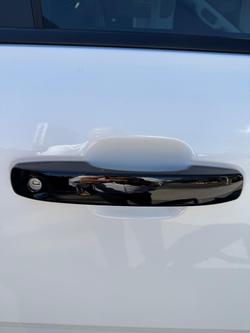 2025 Ford Everest Sport