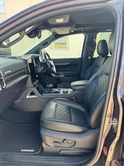 2022 Ford Everest Platinum MY22 4X4 Dual Range Equinox Bronze