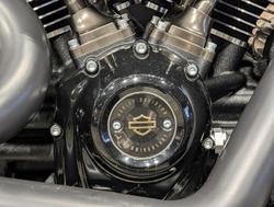 2020 Harley-Davidson Fat Boy 114 Anniversary (FLFBSANV) Softail Black