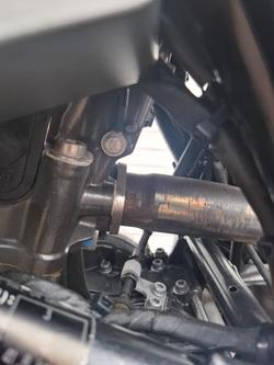 2019 BMW Motorrad G 310 R RED