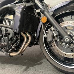 2019 Kawasaki VULCAN S (EN650 LAMS) Purple