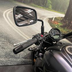 2019 Kawasaki VULCAN S (EN650 LAMS) Purple