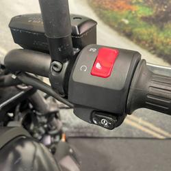 2019 Kawasaki VULCAN S (EN650 LAMS) Purple