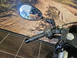 2015 Yamaha STAR BOLT R-SPEC XVS950CUSP BLUE