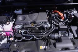 2024 Toyota RAV4 Cruiser