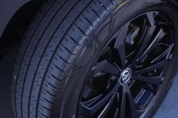 2024 Toyota RAV4 Cruiser