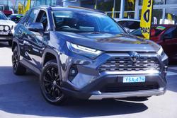 2024 Toyota RAV4 Cruiser