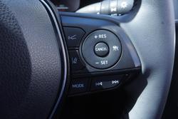 2024 Toyota RAV4 Cruiser