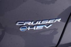 2024 Toyota RAV4 Cruiser