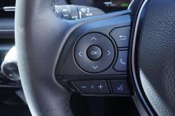 2024 Toyota RAV4 Cruiser