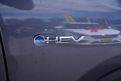 2024 Toyota RAV4 Cruiser