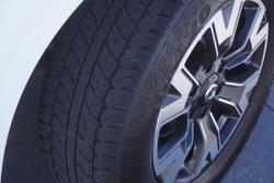 2020 GWM Ute Cannon-L