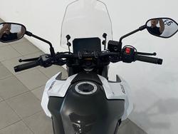 2023 Suzuki GSX-8S GSX-S White