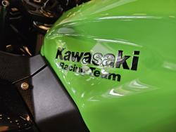 2023 Kawasaki Ninja 400 Special Edition (EX400G) Ninja Green