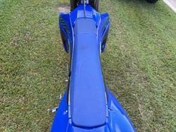 2024 YAMAHA WR250F Blue