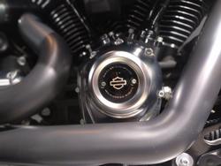 2020 Harley-Davidson Fat Boy 114 (FLFBS) Softail Black