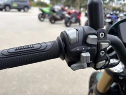 2022 Benelli LEONCINO 800 TRAIL FOREST GREEN