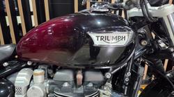 2024 Triumph BONNEVILLE SPEEDMASTER BLACK