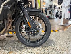 2022 Triumph TIGER 1200 GT EXPLORER WHITE