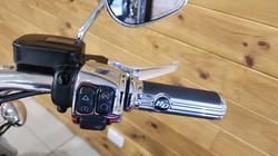 2018 HARLEY-DAVIDSON FLDE SOFTAIL DELUXE