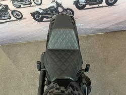 2019 HARLEY-DAVIDSON FXBRS BREAKOUT S (114) (SOLID)