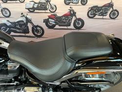 2025 HARLEY-DAVIDSON FLFB FAT BOY (117)