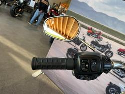 2025 HARLEY-DAVIDSON FLFB FAT BOY (117)