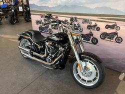 2025 HARLEY-DAVIDSON FLFB FAT BOY (117)