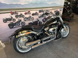 2025 HARLEY-DAVIDSON FLFB FAT BOY (117)