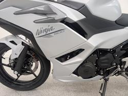 2025 Kawasaki NINJA 500 Green