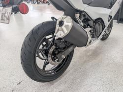 2025 Kawasaki NINJA 500 Green